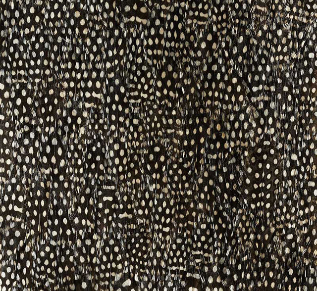 Zinc by Schumacher - Black & White hand-applied feather wallcovering panel