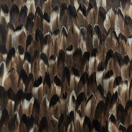 Close-up of Schumacher Pyrite wallcovering in Black Smoke, featuring a dramatic, hand-applied feather pattern in deep earth tones.