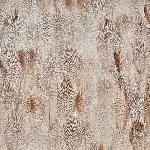 Alabaster wallcovering panel in floral white with delicate natural feather pattern by Schumacher
