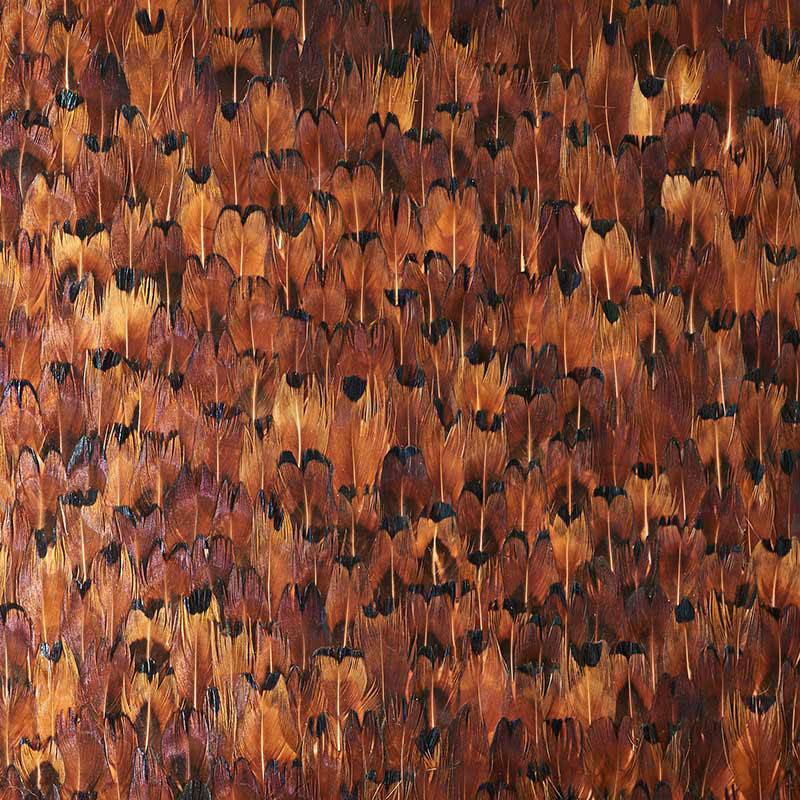 Copper wallcovering panel with a dense, hand-applied natural feather pattern in warm chocolate brown tones.