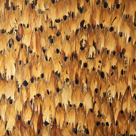 Aventurine wallcovering in Tulip Yellow by Schumacher, featuring a dense, hand-applied feather design with rich, tonal palette.