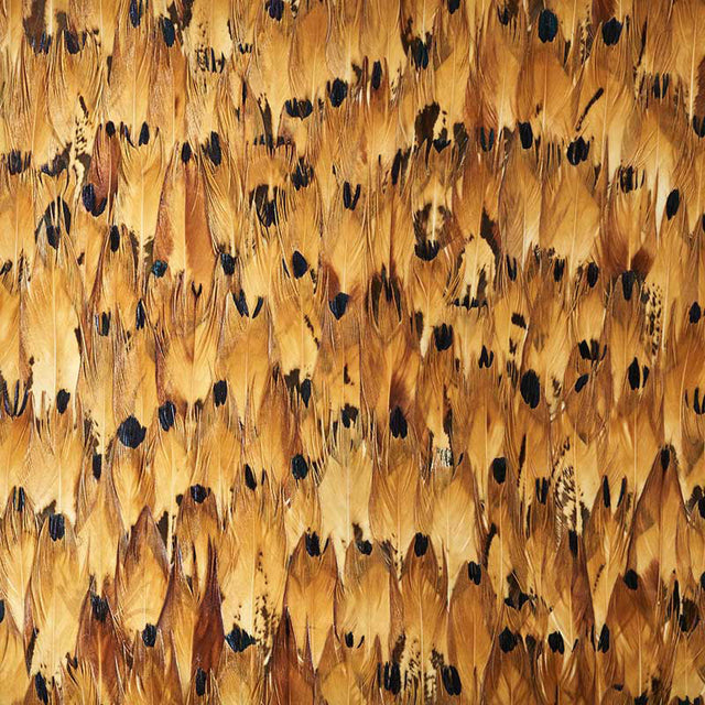 Aventurine wallcovering in Tulip Yellow by Schumacher, featuring a dense, hand-applied feather design with rich, tonal palette.