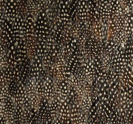 KRYPTON by Schumacher - Black Pearl feather wallcovering panel with graphic, textural spotted pattern.