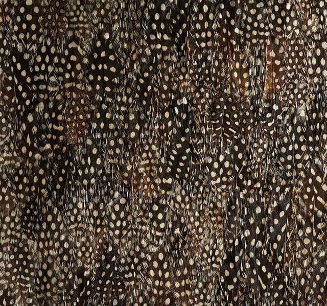 KRYPTON by Schumacher - Black Pearl feather wallcovering panel with graphic, textural spotted pattern.