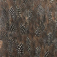 Close-up of Schumacher Graphite wallcovering panel featuring hand-applied natural spotted feathers in black, brown, and white tones.