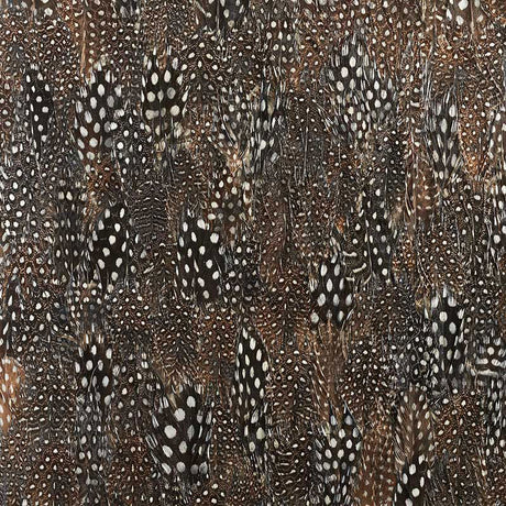 Close-up of Schumacher Graphite wallcovering panel featuring hand-applied natural spotted feathers in black, brown, and white tones.