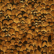 Limonite wallcovering in apricot colorway featuring a luxurious, hand-arranged feather pattern by Schumacher.