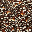 Hematite wallcovering in Coffee colorway with a dense, natural feather pattern by Schumacher.