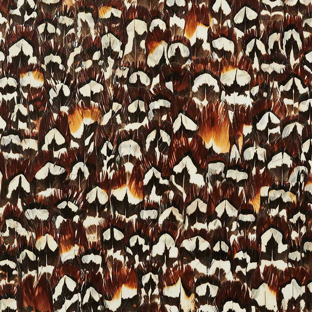 Hematite wallcovering in Coffee colorway with a dense, natural feather pattern by Schumacher.