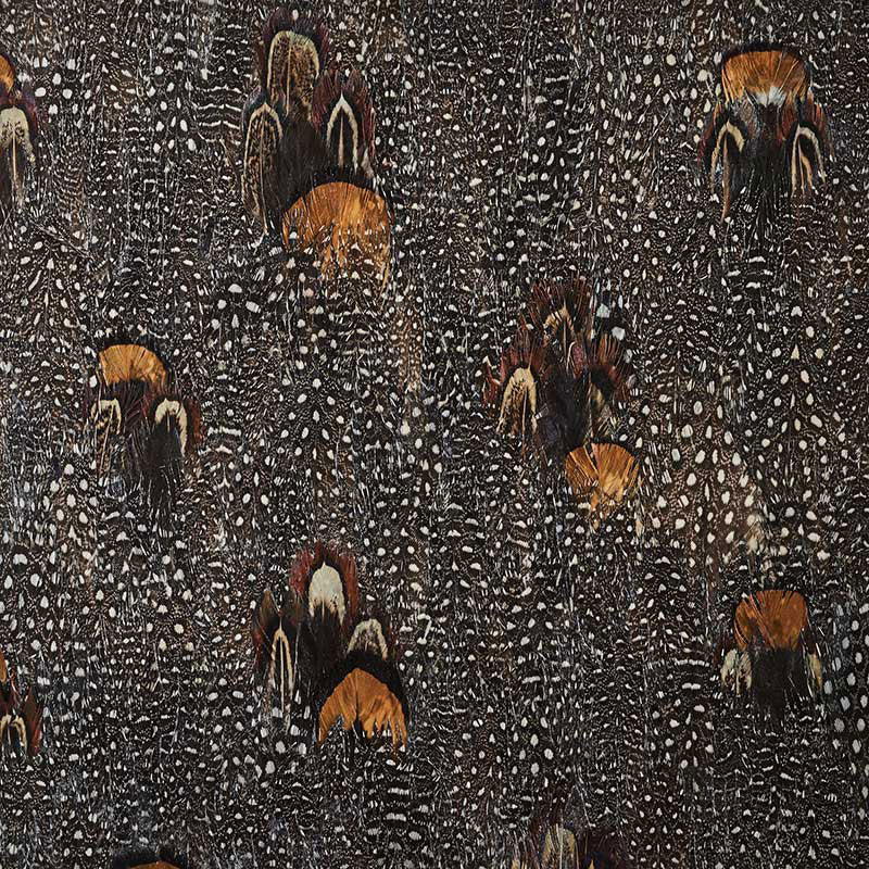 Lodestone wallcovering in coral with a dense, allover hand-applied feather pattern by Schumacher.