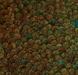 Peridot Emerald by Schumacher - Opulent wallcovering with hand-applied natural feathers in rich jewel tones and iridescent shimmer.