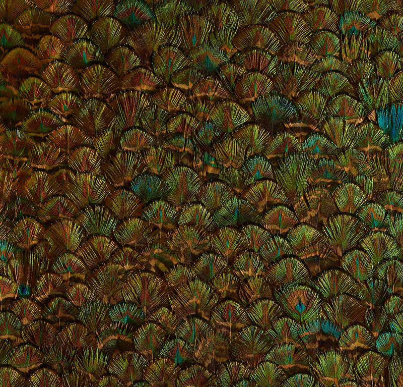 Peridot Emerald by Schumacher - Opulent wallcovering with hand-applied natural feathers in rich jewel tones and iridescent shimmer.