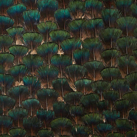 Edenite Moss Green wallcovering panel with shimmering jewel tones and hand-applied natural feathers by Schumacher.