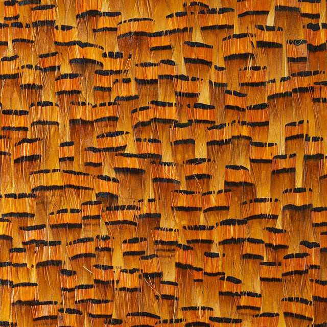 Bauxite Goldenrod by Schumacher - Natural feather wallcovering with warm golden tones and broken stripe pattern