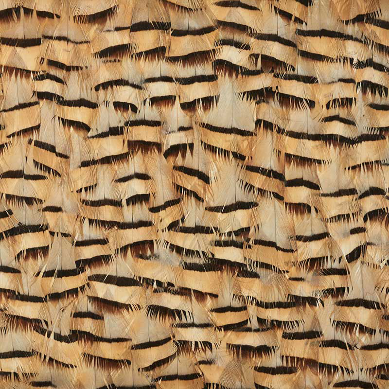Muscovite wallcovering in Cracker Khaki featuring a hand-applied feather stripe pattern by Schumacher.