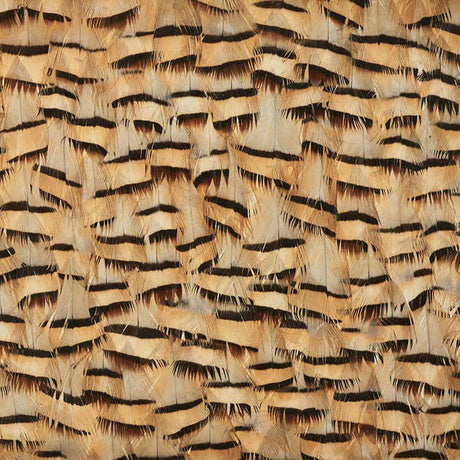 Muscovite wallcovering in Cracker Khaki featuring a hand-applied feather stripe pattern by Schumacher.