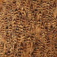 Close-up of Schumacher Umber wallcovering panel featuring hand-gathered natural feathers in rich brown and gold tones