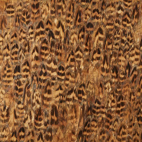 Close-up of Schumacher Umber wallcovering panel featuring hand-gathered natural feathers in rich brown and gold tones