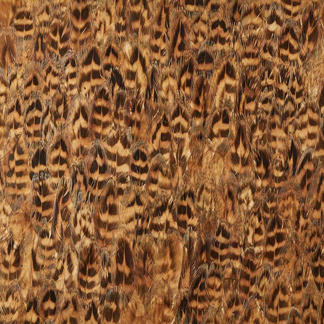 Close-up of Schumacher Umber wallcovering panel featuring hand-gathered natural feathers in rich brown and gold tones