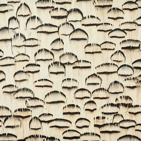 Opal wallcovering panel in white with hand-applied natural striped feathers, graphic and textural design by Schumacher.