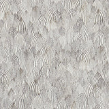Feathers wallpaper in Zebra colorway by Schumacher, featuring a distinctive feather pattern in neutral tones.