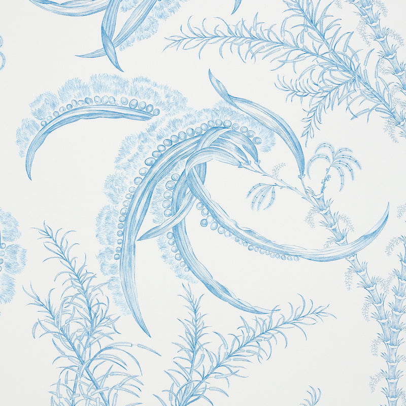 Ocean Toile Delft Blue by Schumacher Undersea Botanical Toile Wallpaper – Schumacher 5008720
