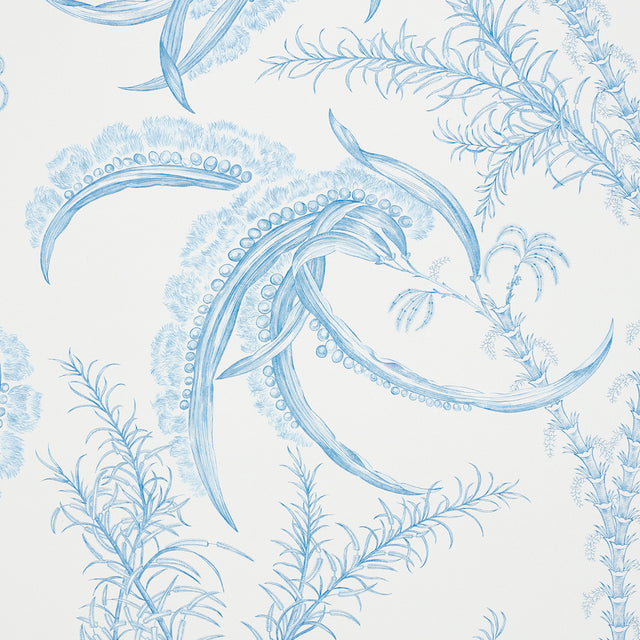 Ocean Toile Delft Blue by Schumacher Undersea Botanical Toile Wallpaper – Schumacher 5008720