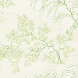 MORI SISAL wallpaper in Leaf by Schumacher, a handpainted botanical print with traditional tree motifs on a textured sisal ground.