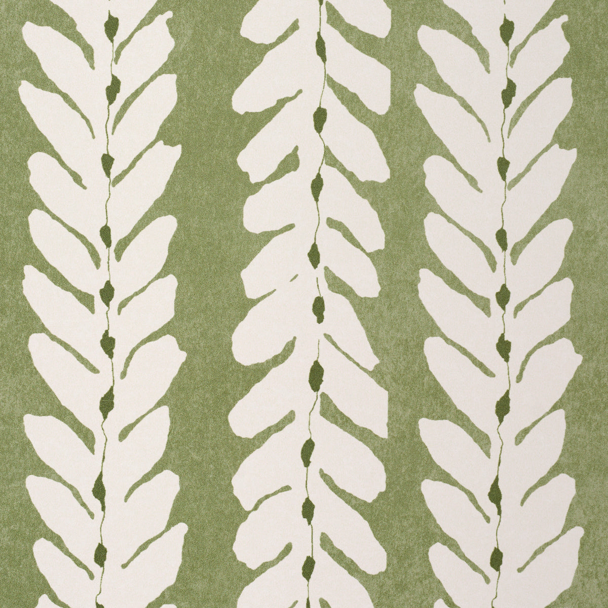 Woodperry Moss by Veere Grenney Modern Botanical Stripe Wallpaper – Schumacher 5008794