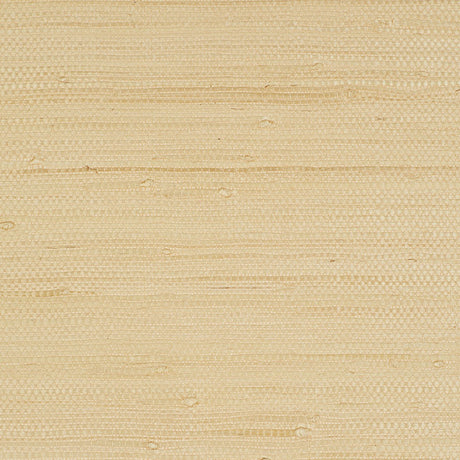 Kiyoko Jute natural woven jute wallcovering by Schumacher, shown in a neutral beige colorway with subtle texture.