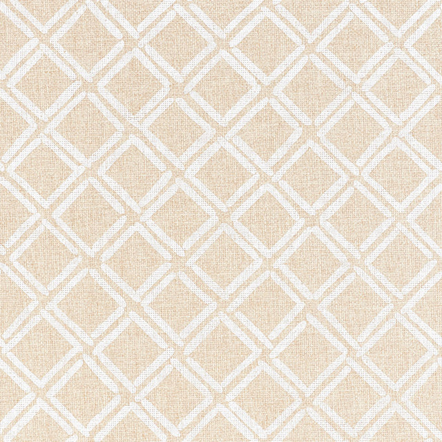 Dina Paperweave wallpaper in a natural colorway with a small-scale trellis lattice design by Schumacher.