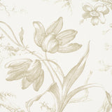 Toile de Fleurs Birch by Schumacher Timeless Floral Ogee Wallpaper – Schumacher 5009125