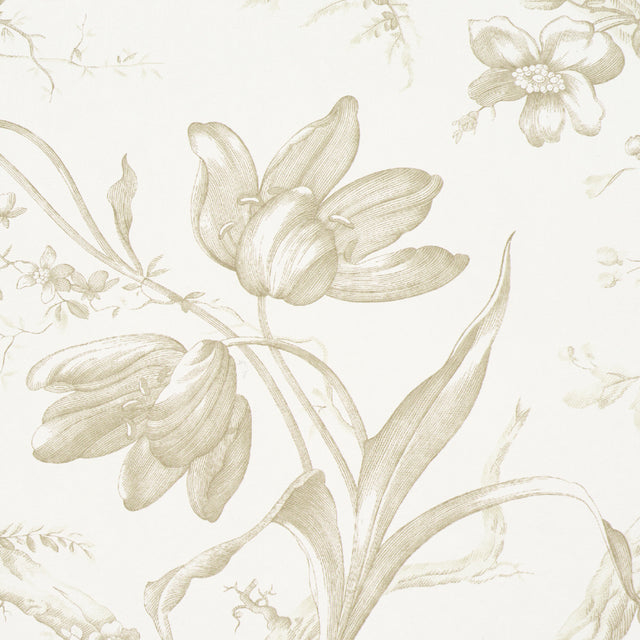 Toile de Fleurs Birch by Schumacher Timeless Floral Ogee Wallpaper – Schumacher 5009125
