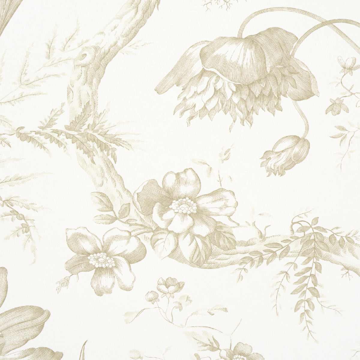 Toile de Fleurs Birch by Schumacher Timeless Floral Ogee Wallpaper – Schumacher 5009125