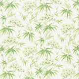 Arita Floral wallpaper in Leaf by Schumacher, featuring painterly bamboo and plum blossom motifs in green on a white background.