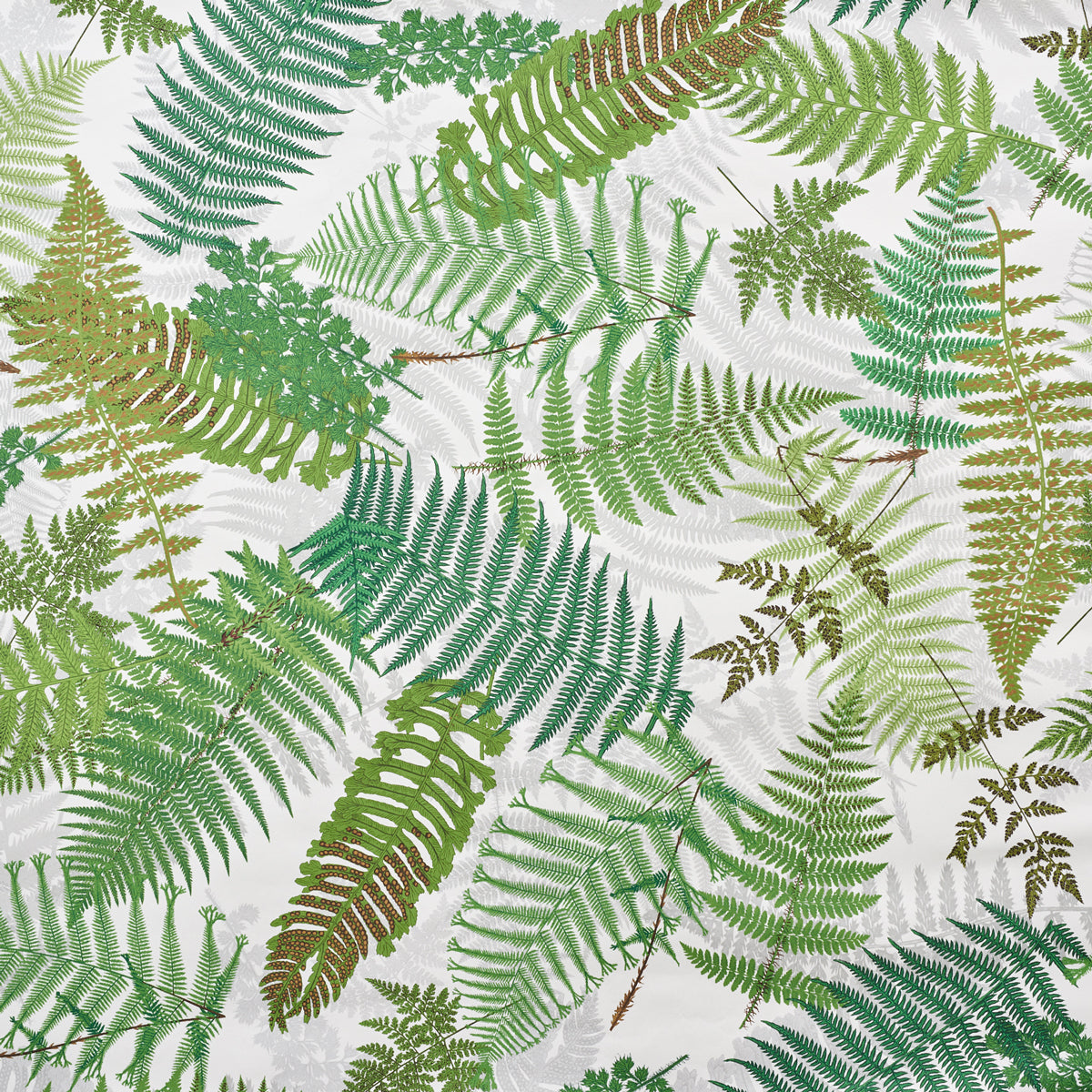 FERNARIUM wallpaper by Schumacher featuring oversized green fern fronds on an ivory and leaf background, designed by Clements Ribeiro.
