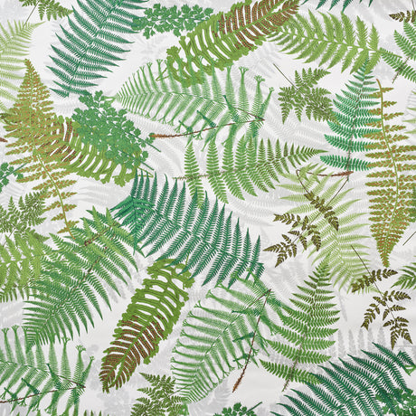 FERNARIUM wallpaper by Schumacher featuring oversized green fern fronds on an ivory and leaf background, designed by Clements Ribeiro.