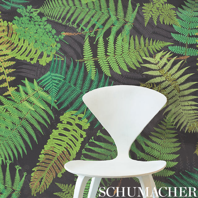 FERNARIUM Black & Leaf by Schumacher Botanical Fern Wallpaper – Schumacher 5009191