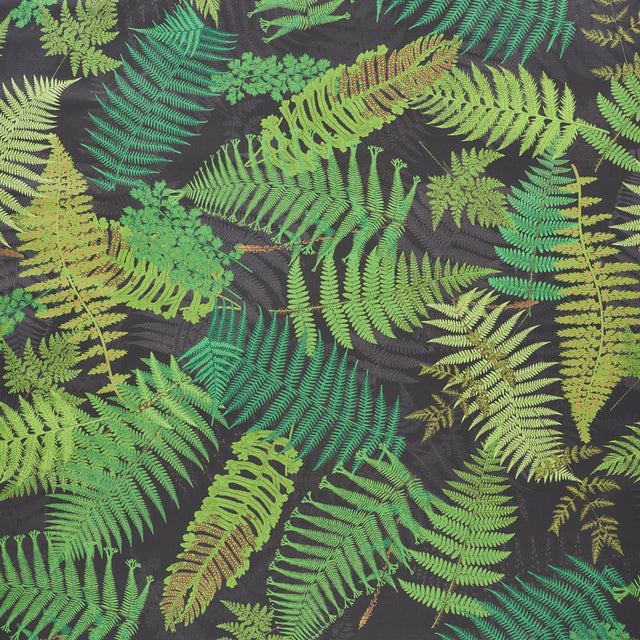 FERNARIUM wallpaper by Schumacher featuring large green fern fronds on a black background, designed by Clements Ribeiro.
