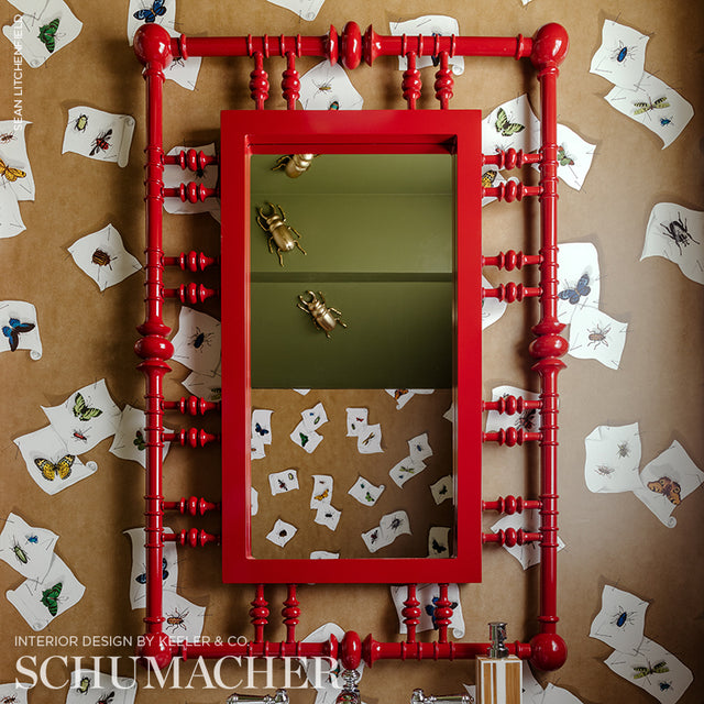 DIANA Whimsical Butterfly & Insect Specimen Wallpaper Brown by Schumacher – 5009340