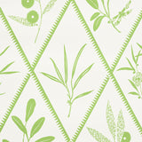 ENDIMIONE Leaf Botanical Trellis Wallpaper by Schumacher – 5009371