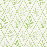 ENDIMIONE wallpaper in Leaf by Schumacher, featuring stylized botanical trellis motifs in green on white.