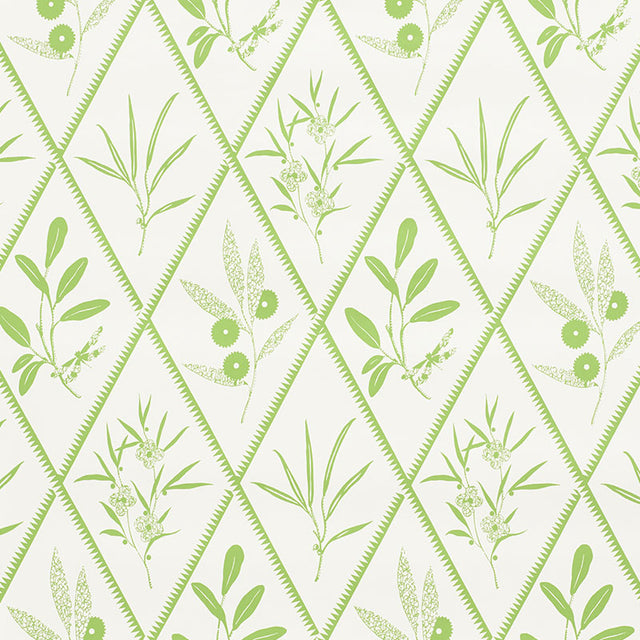 ENDIMIONE wallpaper in Leaf by Schumacher, featuring stylized botanical trellis motifs in green on white.