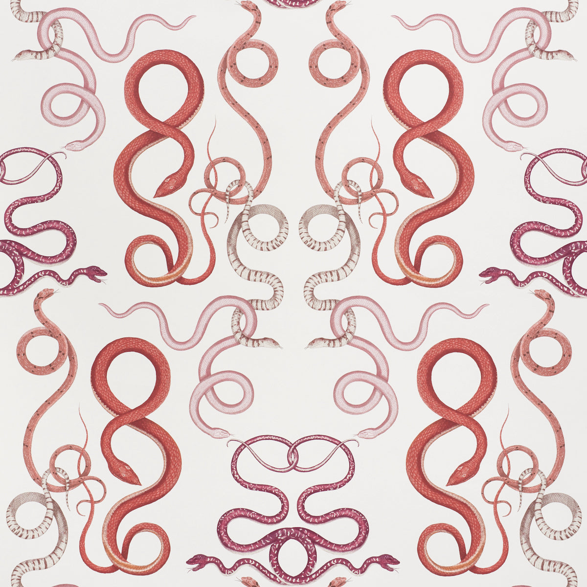 GIOVE wallpaper by Schumacher featuring a cascade of hand-drawn, intertwining snakes in ruby and garnet tones, designed by Charlap Hyman & Herrero.