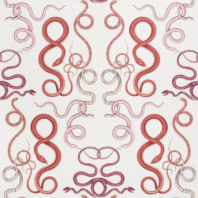 GIOVE wallpaper by Schumacher featuring a cascade of hand-drawn, intertwining snakes in ruby and garnet tones, designed by Charlap Hyman & Herrero.