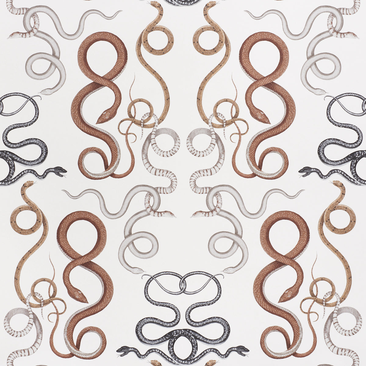 GIOVE wallpaper by Schumacher featuring a cascade of hand-drawn, intertwining snakes in agate and onyx colorway, designed by Charlap Hyman & Herrero.