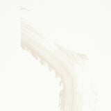 Sepiessa Panel Set Neutral by Caroline Z Hurley Abstract Wall Mural – Schumacher 5009492