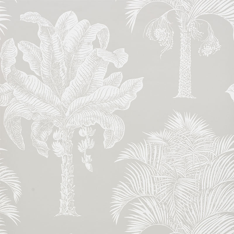 Grand Palms wallpaper in Dove by Schumacher features a large-scale silhouette print of palm trees in a soft neutral colorway.
