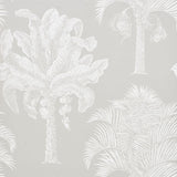 Grand Palms wallpaper in Dove by Schumacher features a large-scale silhouette print of palm trees in a soft neutral colorway.