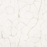 FILIGREE wallpaper in Linen by Porter Teleo for Schumacher, abstract painterly pattern in neutral tones, shown in modern interiors.